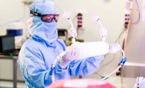 Vive Biotech